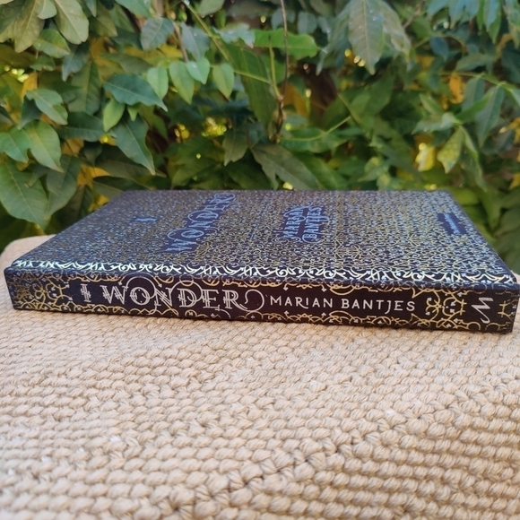 I Wonder by Marian Bantjes HARDCOVER BOOK - Picture 4 of 6